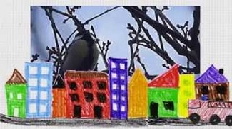 birdsounds video for kids