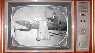 silentflyingfish video for kids