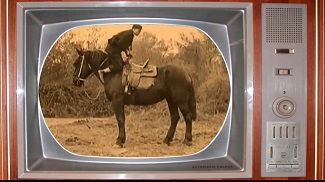 silenthorse video for kids